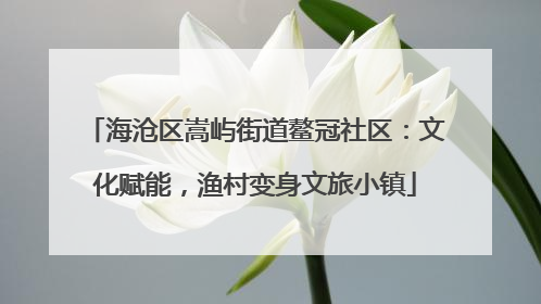 海沧区嵩屿街道鳌冠社区：文化赋能，渔村变身文旅小镇