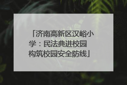 济南高新区汉峪小学：民法典进校园 构筑校园安全防线