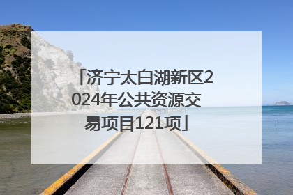 济宁太白湖新区2024年公共资源交易项目121项