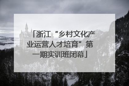 浙江“乡村文化产业运营人才培育”第一期实训班闭幕