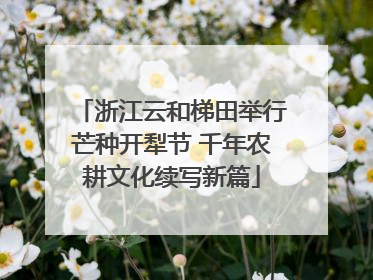 浙江云和梯田举行芒种开犁节 千年农耕文化续写新篇