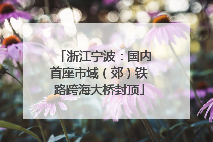 浙江宁波：国内首座市域（郊）铁路跨海大桥封顶