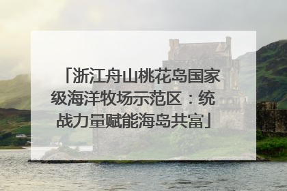 浙江舟山桃花岛国家级海洋牧场示范区：统战力量赋能海岛共富