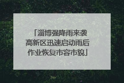淄博强降雨来袭 高新区迅速启动雨后作业恢复市容市貌