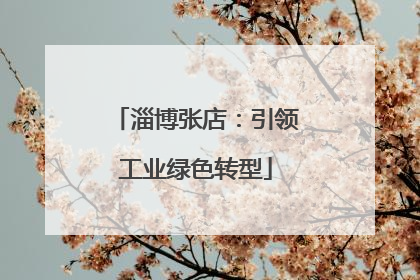 淄博张店：引领工业绿色转型