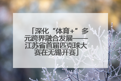 深化“体育+”多元跨界融合发展——江苏省首届匹克球大赛在无锡开赛