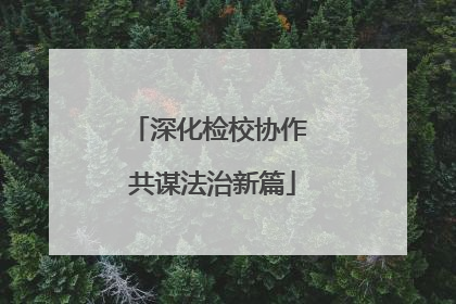 深化检校协作 共谋法治新篇