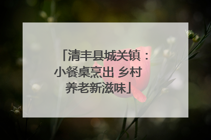 清丰县城关镇：小餐桌烹出 乡村养老新滋味