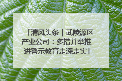 清风头条｜武陵源区产业公司：多措并举推进警示教育走深走实