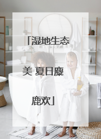 湿地生态美 夏日麋鹿欢