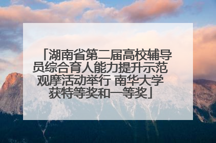 湖南省第二届高校辅导员综合育人能力提升示范观摩活动举行 南华大学获特等奖和一等奖