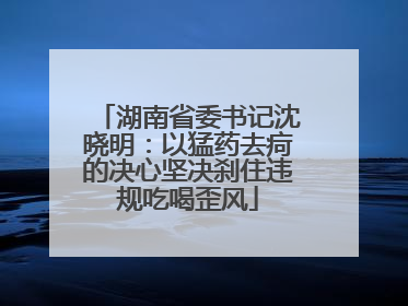 湖南省委书记沈晓明：以猛药去疴的决心坚决刹住违规吃喝歪风