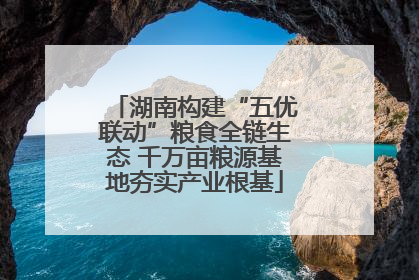 湖南构建“五优联动”粮食全链生态 千万亩粮源基地夯实产业根基