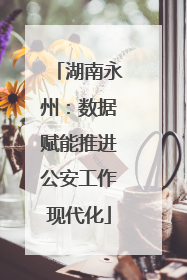 湖南永州：数据赋能推进公安工作现代化