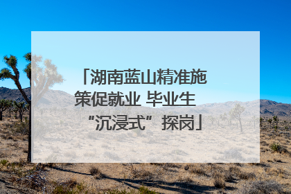 湖南蓝山精准施策促就业 毕业生“沉浸式”探岗