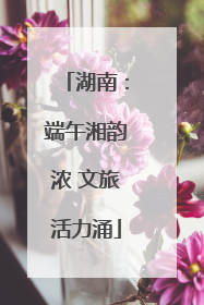 湖南：端午湘韵浓 文旅活力涌