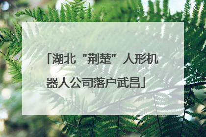 湖北“荆楚”人形机器人公司落户武昌