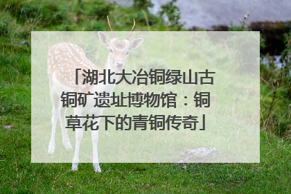湖北大冶铜绿山古铜矿遗址博物馆：铜草花下的青铜传奇