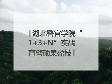 湖北警官学院“1+3+N”实战育警硕果盈枝