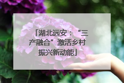 湖北远安：“三产融合”激活乡村振兴新动能