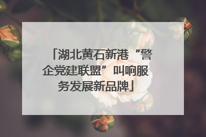 湖北黄石新港“警企党建联盟”叫响服务发展新品牌