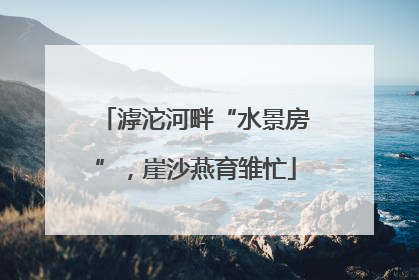 滹沱河畔“水景房”，崖沙燕育雏忙
