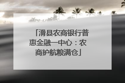 滑县农商银行普惠金融一中心：农商护航粮满仓