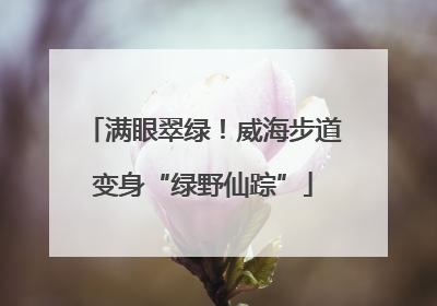 满眼翠绿！威海步道变身“绿野仙踪”