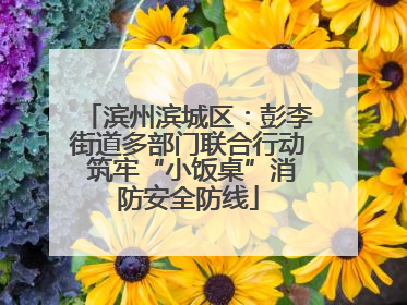 滨州滨城区：彭李街道多部门联合行动 筑牢“小饭桌”消防安全防线