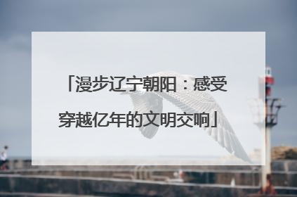 漫步辽宁朝阳：感受穿越亿年的文明交响