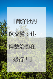 菏泽牡丹区交警：违停整治势在必行！