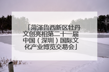 菏泽鲁西新区牡丹文创亮相第二十一届中国（深圳）国际文化产业博览交易会