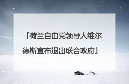 荷兰自由党领导人维尔德斯宣布退出联合政府