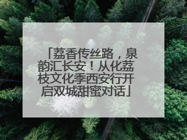 荔香传丝路，泉韵汇长安！从化荔枝文化季西安行开启双城甜蜜对话