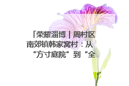 荣耀淄博｜周村区南郊镇韩家窝村：从“方寸庭院”到“全域文明”，乡村振兴的“美学革命”