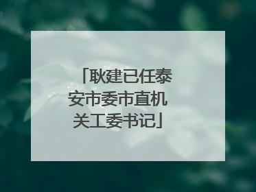 耿建已任泰安市委市直机关工委书记