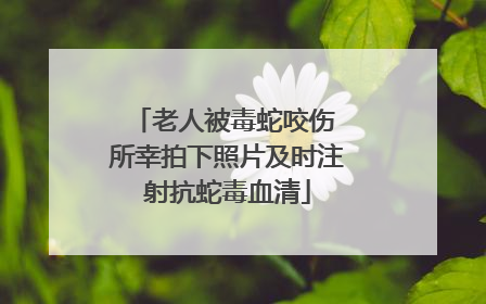老人被毒蛇咬伤 所幸拍下照片及时注射抗蛇毒血清