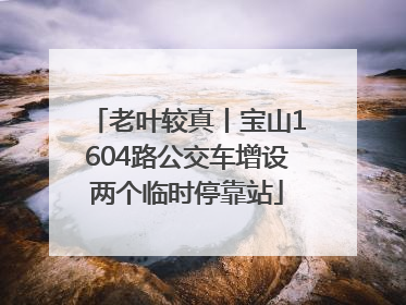 老叶较真丨宝山1604路公交车增设两个临时停靠站