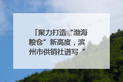 聚力打造“渤海粮仓”新高度，滨州市供销社谱写“三夏”丰收乐章