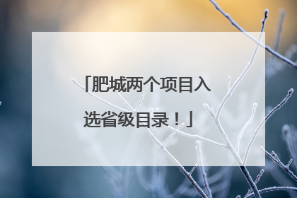 肥城两个项目入选省级目录！