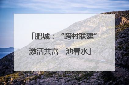 肥城：“跨村联建”激活共富一池春水