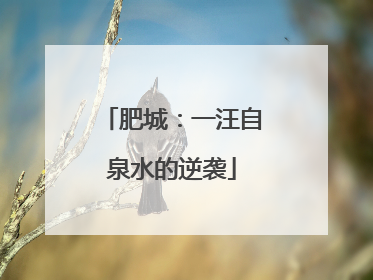 肥城：一汪自泉水的逆袭