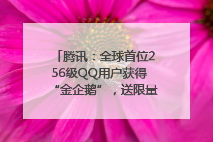 腾讯：全球首位256级QQ用户获得“金企鹅”，送限量版神秘惊喜等礼物