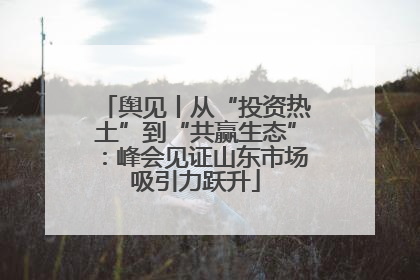 舆见丨从“投资热土”到“共赢生态”：峰会见证山东市场吸引力跃升