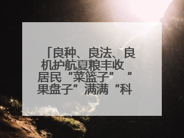 良种、良法、良机护航夏粮丰收 居民“菜篮子”“果盘子”满满“科技范儿”