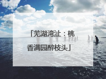 芜湖湾沚：桃香满园醉枝头