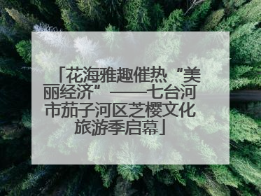 花海雅趣催热“美丽经济”——七台河市茄子河区芝樱文化旅游季启幕
