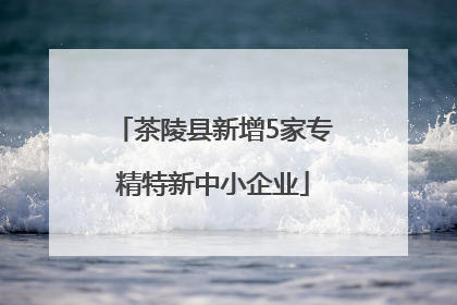 茶陵县新增5家专精特新中小企业