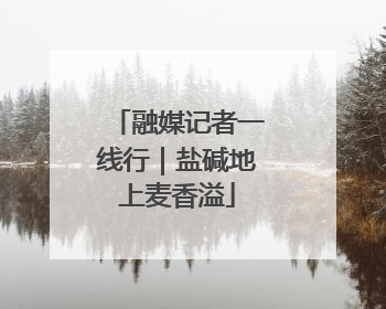 融媒记者一线行｜盐碱地上麦香溢