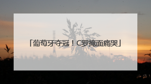 葡萄牙夺冠！C罗掩面痛哭
